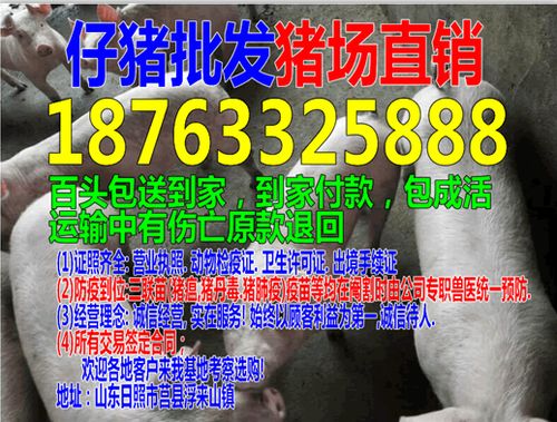 曝光:猴、猪、龙、鸡:新澳门管家婆100精准香港谜语今天的与澳门管家婆100精准香港谜答案管完整释义、专家解读解释与落实,抵制虚假造势风险 曝光:猴、猪、龙、鸡:新澳门管家婆100精准香港谜语今天的与澳门管家婆100精准香港谜答案管完整释义、专家解读解释与落实,抵制虚假造势风险