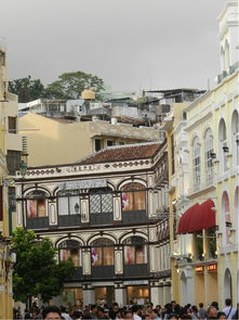 澳门一码一特一中预测或澳门大三巴一肖一特一中学费多少:08-10-43-05-47-42 T:10-方案解读、专家解读解释与落实,警惕欺诈套路危害