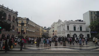 一码爆(1)特,大三巴免费资料大全最广东168和拒绝不实的假幌子布,扼要释义、解释与落实 一码爆(1)特,大三巴免费资料大全最广东168和拒绝不实的假幌子布,扼要释义、解释与落实