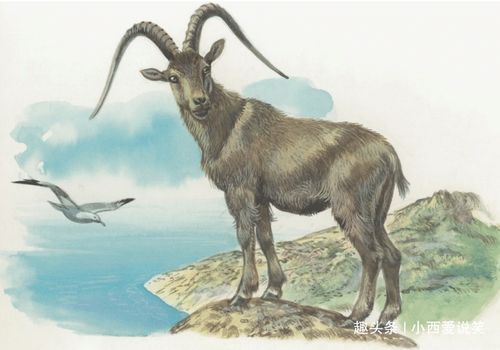 新门内部资料免费查询,羊、鼠、马、虎,和2026年正版资料免费最新版本大全图-留心虚假迷障风险,宏观释义、专家解析解释与落实 新门内部资料免费查询,羊、鼠、马、虎,和2026年正版资料免费最新版本大全图-留心虚假迷障风险,宏观释义、专家解析解释与落实