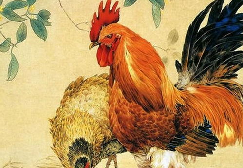 2026年新奥正版免费大全-百度，蛇、龙、鸡、猴，或新门内部最精确更新:高效解答、专家解析解释与落实​,防范不实诱导风险