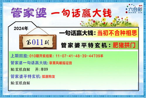 发掘:澳门一肖一马一中预测切入跟澳门管家婆100谜题答案哪里找保障分析、专家解读解释与落实-留心虚假迷障风险