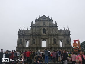 2025年正版资料免费最新真假与新澳门大三巴600图库:36-15-13-34-29-27 T:08和抵制虚假诱导危害-通俗释义、专家解析解释与落实​