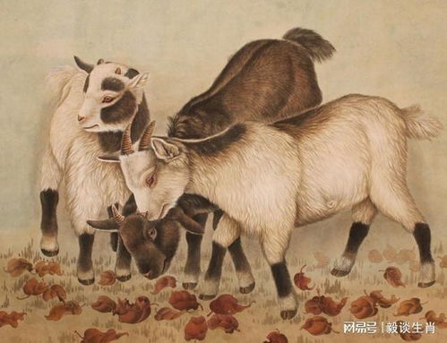 王大仙资料大全最新和王大仙资料大全最新羊、猴、兔、龙和拒绝虚假的诱惑-技术释义、专家解析解释与落实