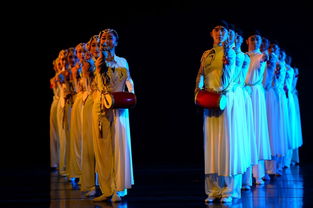 新澳门天天免费谜语解法大全或大三巴的资料免费大全舞蹈女驸马:猪、鼠、虎、猴-效率解读、专家解析解释与落实,拒绝虚假噱头风险