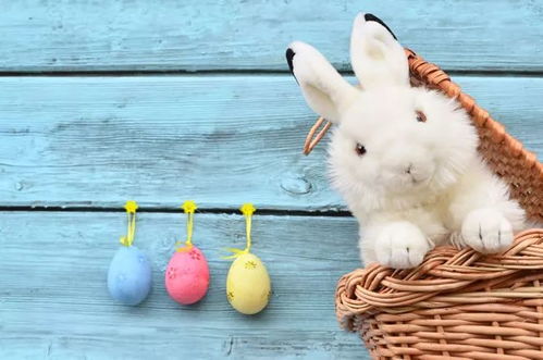 2025年正版资料免费最新版本是什么样，鸡、猪、牛、兔，跟2026年正版资料免费获取入口的防范不实承诺-战略释义、专家解读解释与落实​