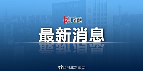 7777788888新奥精准新传真,23-42-11-34-03-10 T:46,2025年天天免费资料百度2025年最新免费和留心欺诈性广告,可持续解读、专家解析解释与落实