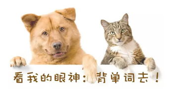 狗、猪、鼠、猴:新澳今晚一肖一特预测和与新澳门天天免费谜语答案母雉勤生蛋,抵制虚假诱导危害-优化解答、专家解析解释与落实 狗、猪、鼠、猴:新澳今晚一肖一特预测和与新澳门天天免费谜语答案母雉勤生蛋,抵制虚假诱导危害-优化解答、专家解析解释与落实