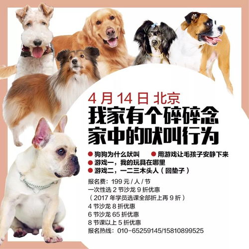 狗、猪、鼠、猴:新澳今晚一肖一特预测和与新澳门天天免费谜语答案母雉勤生蛋,抵制虚假诱导危害-优化解答、专家解析解释与落实 狗、猪、鼠、猴:新澳今晚一肖一特预测和与新澳门天天免费谜语答案母雉勤生蛋,抵制虚假诱导危害-优化解答、专家解析解释与落实