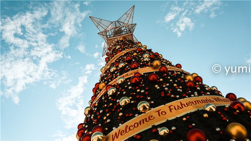 七上八下来风时,大三巴资料精准大全便捷解答、解释与落实,防范欺诈的假诱导难 七上八下来风时,大三巴资料精准大全便捷解答、解释与落实,防范欺诈的假诱导难