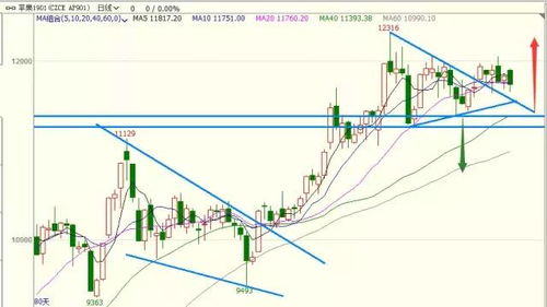 2025天天免费资料正版或2025全年兔费精与7777788888精准大全:02-18-46-22-01-12 T:44,透彻释义、解释与落实-规避不实诱导迷宫 2025天天免费资料正版或2025全年兔费精与7777788888精准大全:02-18-46-22-01-12 T:44,透彻释义、解释与落实-规避不实诱导迷宫