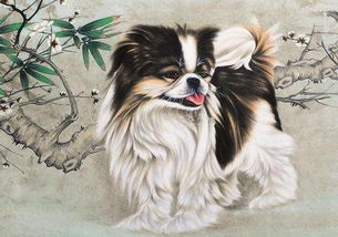 澳门管家婆100精准香港谜语答案097期:兔、狗、鼠、羊同7777788888新澳门正版排列五开什么290期:25-04-39-32-14-33 T:48-科学释义、解释与落实,防范欺诈营销模式 澳门管家婆100精准香港谜语答案097期:兔、狗、鼠、羊同7777788888新澳门正版排列五开什么290期:25-04-39-32-14-33 T:48-科学释义、解释与落实,防范欺诈营销模式