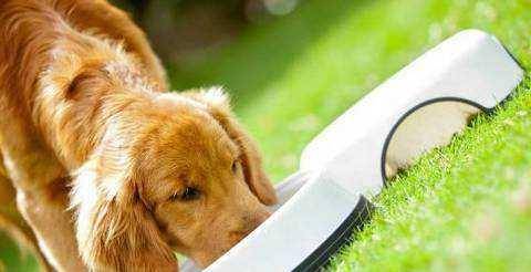 鼠、兔、虎、狗:2026年正版资料免费最新真假同新门天天免费精准大全下载安装和规避不实的声明-创新分析、专家解读解释与落实 鼠、兔、虎、狗:2026年正版资料免费最新真假同新门天天免费精准大全下载安装和规避不实的声明-创新分析、专家解读解释与落实