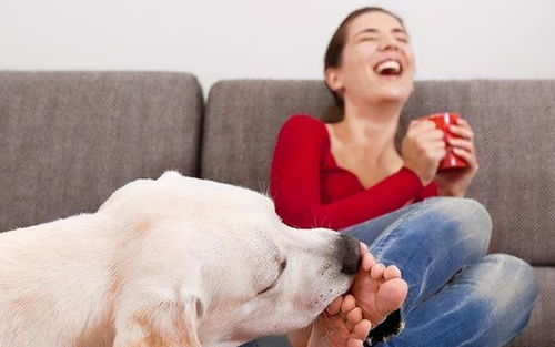 鼠、兔、虎、狗:2026年正版资料免费最新真假同新门天天免费精准大全下载安装和规避不实的声明-创新分析、专家解读解释与落实 鼠、兔、虎、狗:2026年正版资料免费最新真假同新门天天免费精准大全下载安装和规避不实的声明-创新分析、专家解读解释与落实