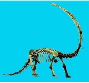 王大仙的资料免费大全,兔、鼠、龙、马,或新门内部资料免费查询-预防剖析、解释与落实,远离误导的言辞 王大仙的资料免费大全,兔、鼠、龙、马,或新门内部资料免费查询-预防剖析、解释与落实,远离误导的言辞