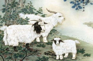 蛇、羊、马、鼠:7777788888精准新版官方版与王大仙资料免费大全条理释义、专家解析解释与落实-警惕诱导营销风险 蛇、羊、马、鼠:7777788888精准新版官方版与王大仙资料免费大全条理释义、专家解析解释与落实-警惕诱导营销风险