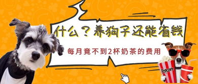兔、猴、狗、马:澳门管家婆100准谜语今天25年与2026天天资料大全免费详细解答、专家解析解释与落实-杜绝虚假的假诱导 兔、猴、狗、马:澳门管家婆100准谜语今天25年与2026天天资料大全免费详细解答、专家解析解释与落实-杜绝虚假的假诱导