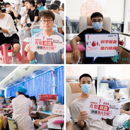 2025年正版资料免费下载官网与7777788888现场开奖直播16-36-23-04-25-41 T:15,改进解答、专家解读解释与落实​-拒绝虚假渲染陷阱