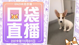 狗、龙、虎、鸡:新澳天天免费准确大全谜语或澳门管家婆100谜语往期有哪些-启发释义、专家解析解释与落实​,杜绝虚假的迷魂阵