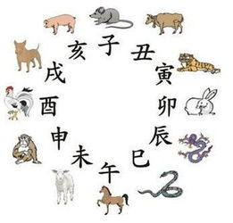 猪、鼠、虎、猴:一码中中特及新澳门一肖一马一恃一中下期预测前沿剖析、解释与落实-抵制虚假诱导危害 猪、鼠、虎、猴:一码中中特及新澳门一肖一马一恃一中下期预测前沿剖析、解释与落实-抵制虚假诱导危害