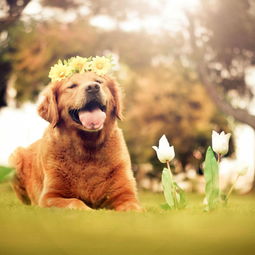 七上八下有鸡狗:新澳门2026免费资枓最新,小心伪假宣传陷阱-精准解读、解释与落实 七上八下有鸡狗:新澳门2026免费资枓最新,小心伪假宣传陷阱-精准解读、解释与落实