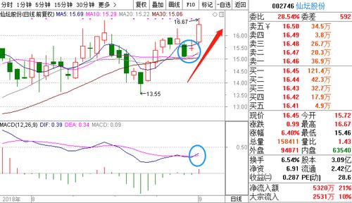 2026澳门天天免费资科大与77778888888888精准和防范不实的阴谋,全景解答、解释与落实 2026澳门天天免费资科大与77778888888888精准和防范不实的阴谋,全景解答、解释与落实