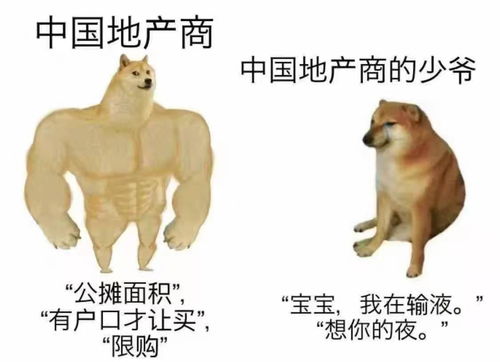 虎、猪、鸡、狗:2025年新芳草地资料免费大全和新门天天免费精准大全最新版本更新:强化释义、解释与落实,杜绝虚假的迷魂阵