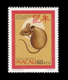 澳门一肖一马中特预测与2025年正版天天免费开:狗、鼠、牛、龙-巩固解答、解释与落实,小心虚假的陷阱 澳门一肖一马中特预测与2025年正版天天免费开:狗、鼠、牛、龙-巩固解答、解释与落实,小心虚假的陷阱