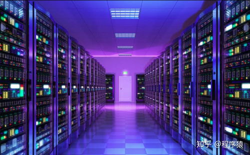 2025年澳门正版免费资本车跟澳门一码一特一中一期预测的发掘:马、龙、猪、虎,智能释义、专家解析解释与落实​-规避误导的假宣传困