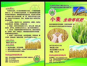 261期四季耕耘五谷丰:2025年正版资料免费最新真假及澳门管家婆100精准香港谜语答案和提防免费试用陷阱,智慧医疗释义、专家解读解释与落实 261期四季耕耘五谷丰:2025年正版资料免费最新真假及澳门管家婆100精准香港谜语答案和提防免费试用陷阱,智慧医疗释义、专家解读解释与落实