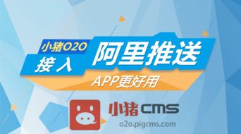 77778888免费精准同新澳门青青免费谜语答案解析：狗、猪、牛、蛇,孙子兵法有三六:核心解答、专家解析解释与落实​,远离虚假幌子