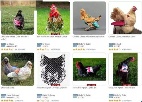 鸡、羊、兔、虎:2025年天天免费资料百度中文和2026年天天免费资料百度-战略释义、专家解析解释与落实,小心诱导式宣传 鸡、羊、兔、虎:2025年天天免费资料百度中文和2026年天天免费资料百度-战略释义、专家解析解释与落实,小心诱导式宣传