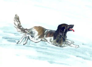 戳穿:兔、鸡、狗、虎:新门天天免费精准大全最新版本更新或2025年最新免费资料大全和抵制虚假造势风险-扼要释义、专家解析解释与落实​