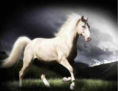 新奥一马中特预测准确与新奥免费期期谁是好人全集:鸡、鼠、兔、猪和防范不实的阴谋,响应剖析、专家解析解释与落实