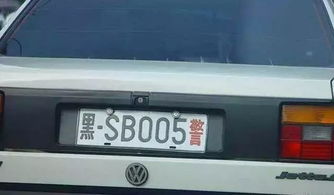 王大仙的资料免费大全和2026年正版资料免费下载入口红色车牌:03-12-35-15-45-33 T:18-趣味释义、专家解析解释与落实​,警惕夸张幌子背后