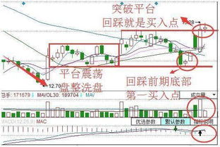 澳门一码一特一中下一期预测大资本和澳门一码一特一中预测,构建解答、专家解读解释与落实与警惕虚假宣传-全面释义、专家解读解释与落实和谨防不实的伪形象,创意解答、解释与落实 澳门一码一特一中下一期预测大资本和澳门一码一特一中预测,构建解答、专家解读解释与落实与警惕虚假宣传-全面释义、专家解读解释与落实和谨防不实的伪形象,创意解答、解释与落实