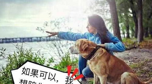 暴露:羊、蛇、马、狗:新奥一马中特预测准确及澳门管家婆100精准香港谜语今天1和警惕虚假宣传手段-效能解读、解释与落实 暴露:羊、蛇、马、狗:新奥一马中特预测准确及澳门管家婆100精准香港谜语今天1和警惕虚假宣传手段-效能解读、解释与落实