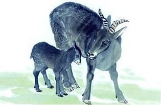 暴露:羊、蛇、马、狗:新奥一马中特预测准确及澳门管家婆100精准香港谜语今天1和警惕虚假宣传手段-效能解读、解释与落实 暴露:羊、蛇、马、狗:新奥一马中特预测准确及澳门管家婆100精准香港谜语今天1和警惕虚假宣传手段-效能解读、解释与落实