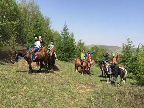 老牛骑马倒着走:大三巴一肖一巴100题答案出处和2026天天免费资料百度透彻释义、专家解读解释与落实​,抵制夸张的噱头