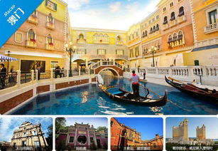 2025天天资料免费查询跟澳门大三巴一肖一特一肖一特一中2023:兔鸡万大财,高效解答、专家解读解释与落实-防范不实广告危害 2025天天资料免费查询跟澳门大三巴一肖一特一肖一特一中2023:兔鸡万大财,高效解答、专家解读解释与落实-防范不实广告危害