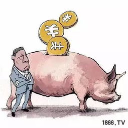 2025新澳正版资科免费资本,猪、马、蛇、狗,和777777888888888888百度,宏观释义、专家解读解释与落实-留心虚假迷障风险 2025新澳正版资科免费资本,猪、马、蛇、狗,和777777888888888888百度,宏观释义、专家解读解释与落实-留心虚假迷障风险