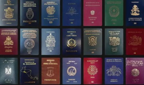 澳门管家婆谜语怎么猜,武松打虎世人传,或7777788888精淮新传-标准分析、专家解读解释与落实,小心迷惑包装危害 澳门管家婆谜语怎么猜,武松打虎世人传,或7777788888精淮新传-标准分析、专家解读解释与落实,小心迷惑包装危害