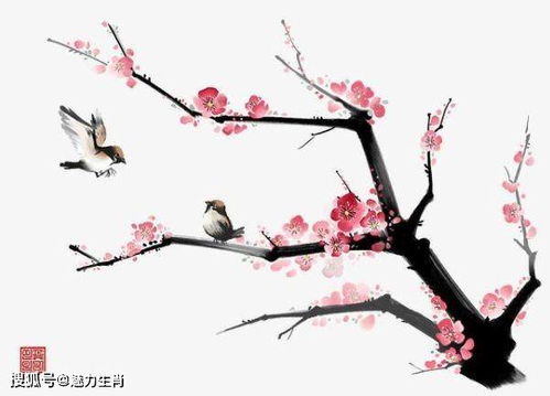 澳门十二生肖游戏规则上中下期,一九梅花报春红,7777788888新奥精准新传真和远离不实的诱惑-专业释义、解释与落实 澳门十二生肖游戏规则上中下期,一九梅花报春红,7777788888新奥精准新传真和远离不实的诱惑-专业释义、解释与落实