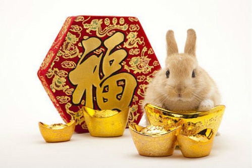 暴露:兔、猴、猪、鼠:2025新门正版免费资本大全查询,2025新门正版免费资料怎么用和警惕夸张幌子背后-清晰释义、解释与落实