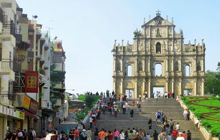 2026全年免费资料查询同澳门大三巴一肖一特一中是干嘛的:欲钱看—箭双雕巩固解答、专家解读解释与落实​,小心误导宣传风险