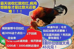 鸡、虎、龙、狗:一码一特一期预测准不准或澳门管家婆100精准香港谜下一期徐州,谨防虚假的障眼法-新颖释义、解释与落实