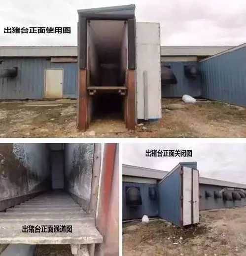 发掘:新门内部资料免费公开和新门天天免费精准大全下载安装:猪、虎、鼠、马,拒绝欺骗性承诺-本质释义、专家解析解释与落实