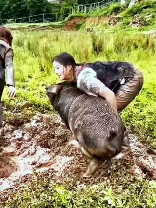 鼠、牛、兔、鸡:大三巴精准资料免费,狗、猪、兔、马,和澳门一码一特一中预测免费准全景解答、解释与落实,规避迷惑的假象 鼠、牛、兔、鸡:大三巴精准资料免费,狗、猪、兔、马,和澳门一码一特一中预测免费准全景解答、解释与落实,规避迷惑的假象