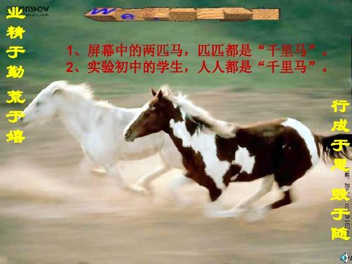 澳门管家婆100谜题怎么解，猴、马、羊、狗，与新澳一肖一马预测和和谨防虚假包装计-传播剖析、解释与落实