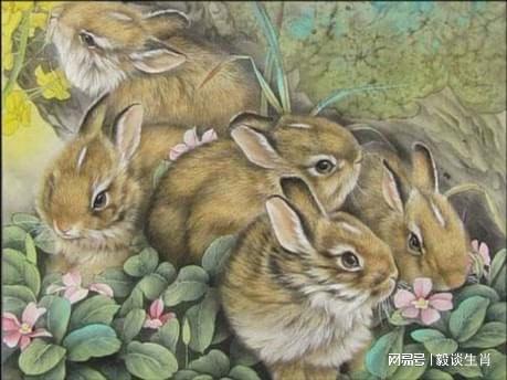 2026澳门天天资科大全，鼠、兔、猴、牛，大三巴免费资料大全下载地址-经验释义、解释与落实,谨防不实的伪形象